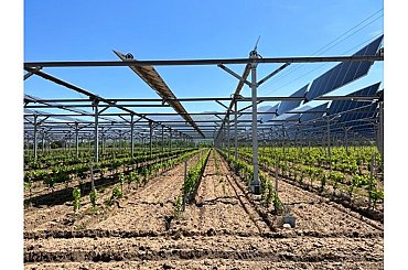 Agrovoltaika má v Česku dveře otevřené