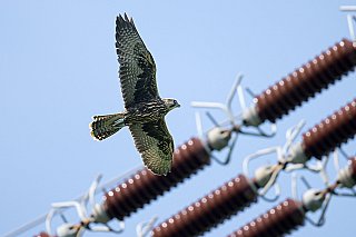 Lekce z energetické krize. Tyto firmy se poučily hodně dobře